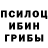 Псилоцибиновые грибы Psilocybine cubensis Anna Tishunina
