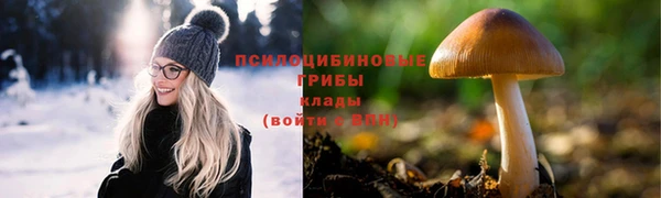 гидропоника Навашино