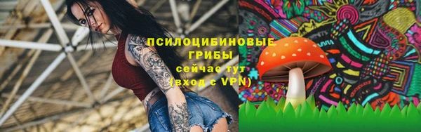 героин Абаза